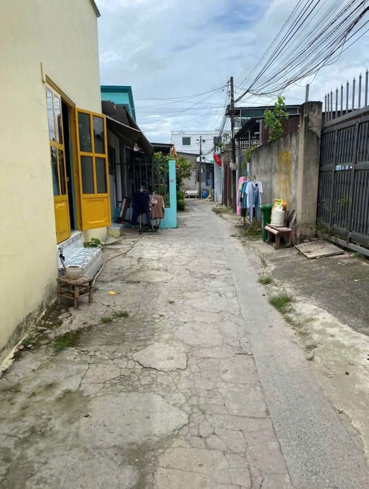 Đất trồng cây 123m² xã Đông Thạnh Hóc Môn chỉ 1.15 tỷ - Sổ đỏ riêng chính chủ!