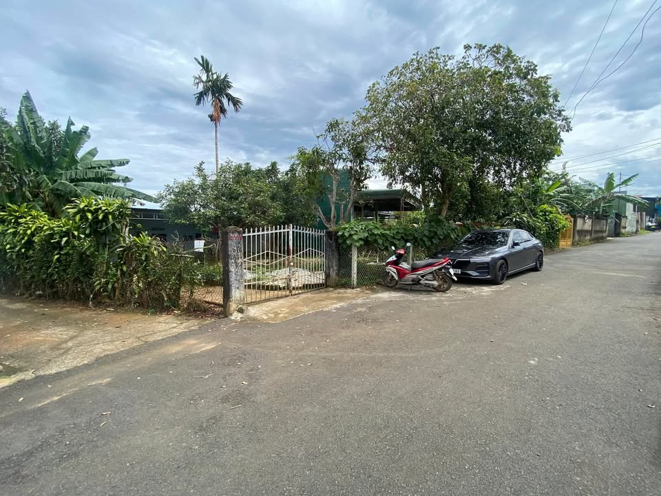 Đất nền Bùi Thị Xuân Bảo Lộc 244m² giá 3.75 tỷ - Lô góc chính chủ, thuận tiện xây dựng!