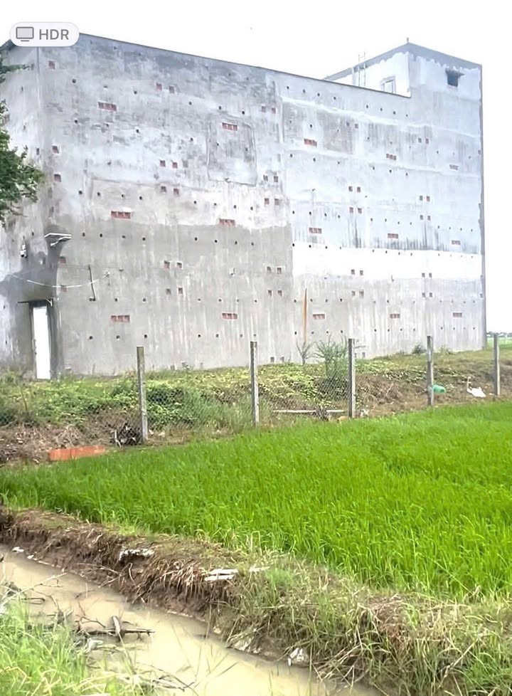 Nhà yến bán gấp tại xã Tân Hộ Cơ, huyện Tân Hồng, Đồng Tháp 1034m² - Đầu tư sinh lời cao!