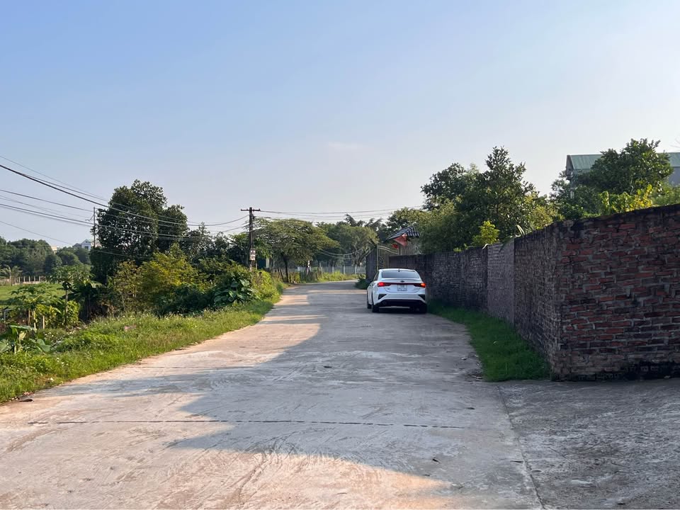 Đất nền 120m² Hy Cương - Giá chỉ 1.3 tỷ, chính chủ bán gấp!