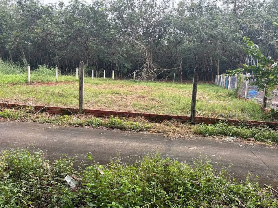 Đất Long Hoa, Tây Ninh 405m² giá 480 triệu - Sổ hồng chính chủ, thương lượng ngay!