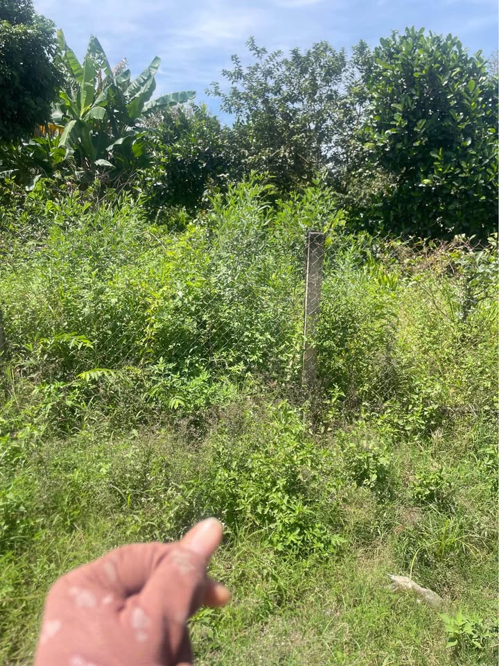 Đất thổ cư Thôn 3, xã Ea Kmút, 280m² giá 1.4 tỷ - Sổ đỏ chính chủ, gần chợ