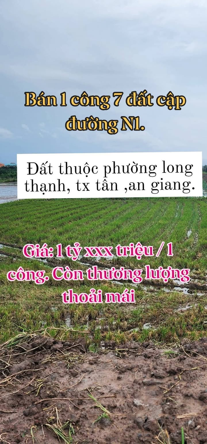 Đất nền 1 công 7 (1725m²) mặt tiền đường N1, Long Thạnh - Giá chỉ 1.17 tỷ VND