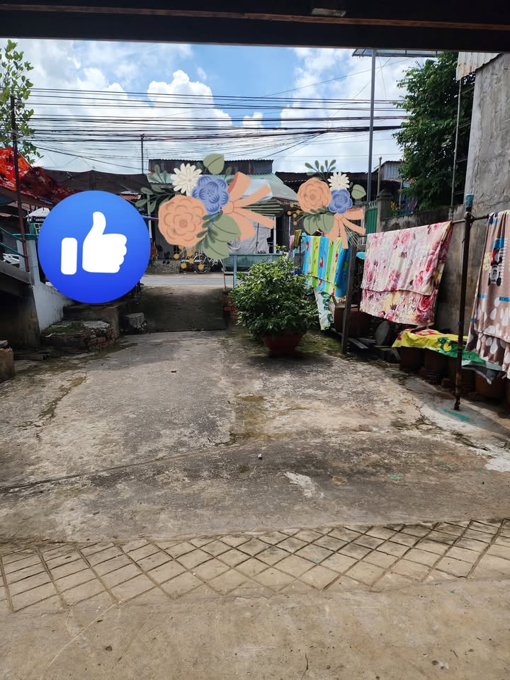 Đất nền mặt tiền đường số 4 Long Phú, Tân Châu 100m² - Sổ đỏ chính chủ, giá chỉ 700 triệu!