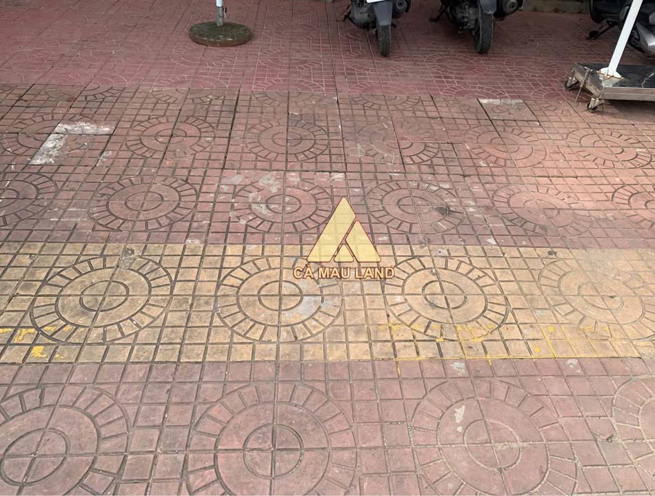 Nhà thổ cư mặt tiền Nguyễn Công Trứ, phường 8, Cà Mau 120m² giá 5.5 tỷ - Kinh doanh sầm uất!