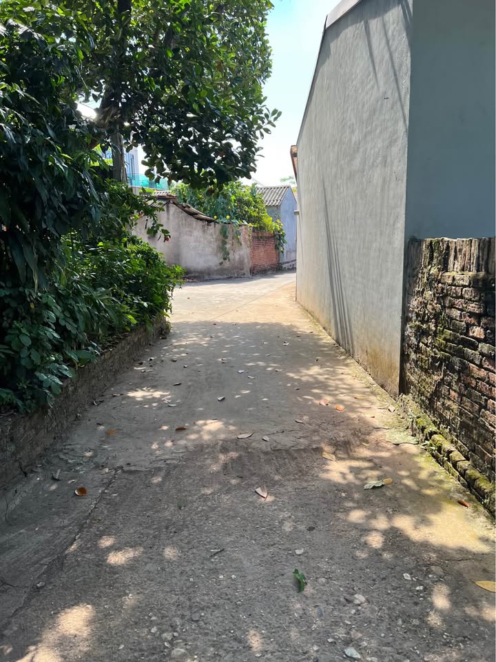 Đất nền thị trấn Cao Thượng 120m² giá 720 triệu - Đầu tư sinh lời cao!