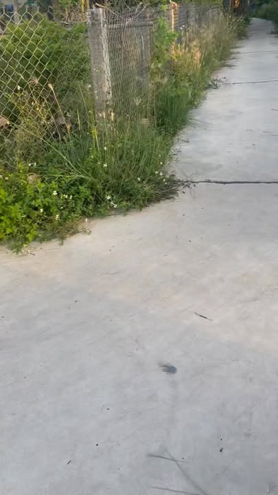 Đất nền Phù Mỹ 140m² giá 4-5 tỷ - Mặt tiền hướng Nam, vị trí trung tâm!