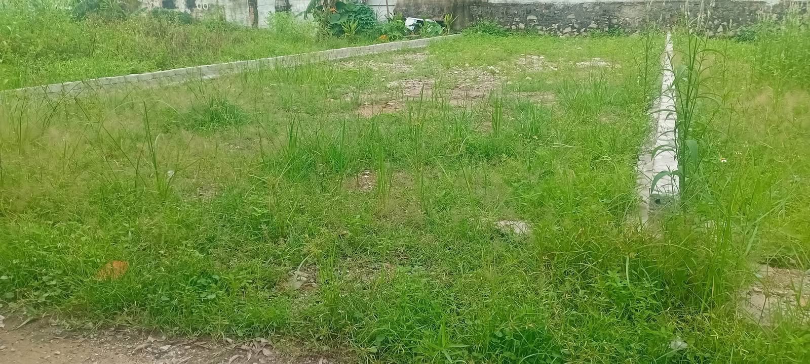 Đất thổ cư Nghi Sơn 117m² - Vị trí trung tâm, giao thông thuận tiện!