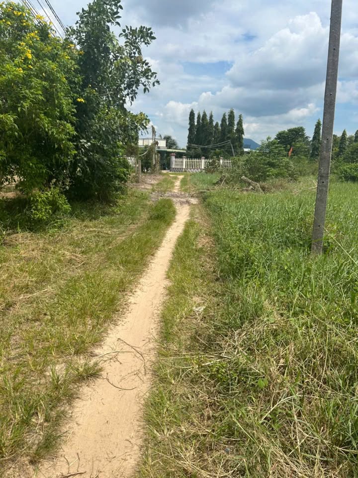 Nhà đẹp gần biển Lagi 1579m² giá 2.2 tỷ - An ninh và tiện nghi!