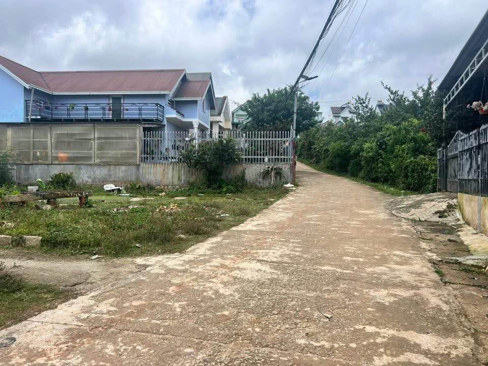 Đất sổ riêng Lạc Dương Đà Lạt 125m² - Đường 2 mặt tiền, giá thương lượng!