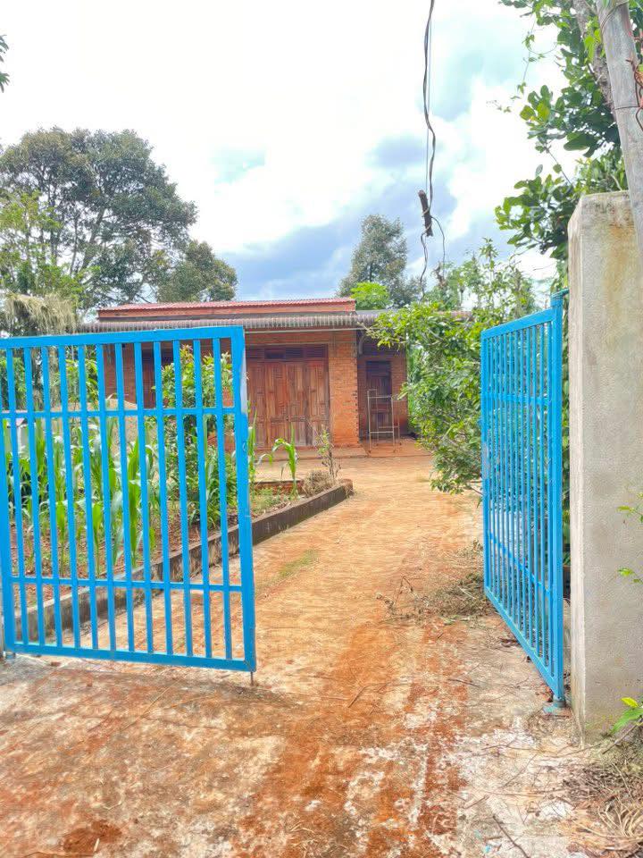 Đất nền thổ cư 800m² tại xã Ea Ning, huyện Cư Kuin - Giá 859 triệu, vị trí đắc địa!