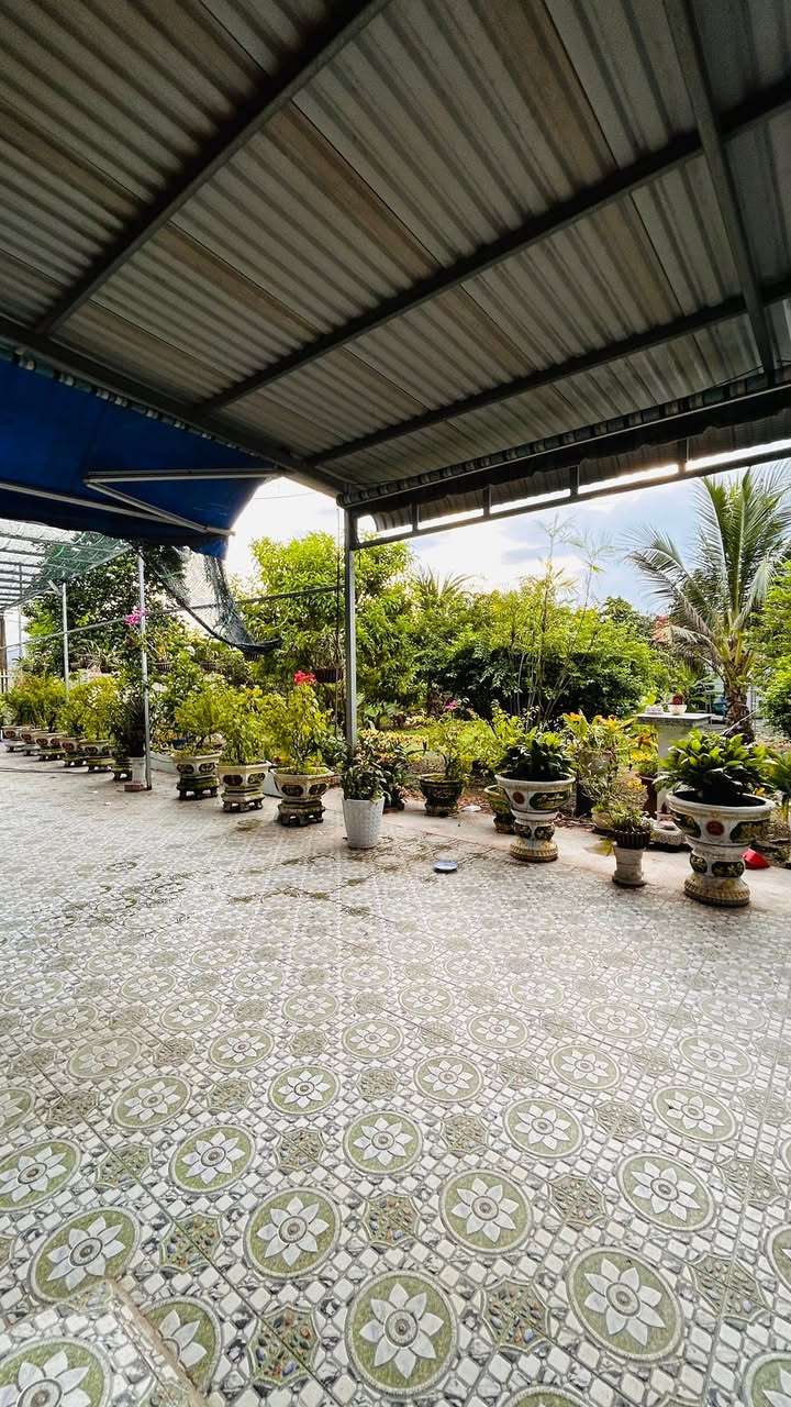 Nhà vườn Long Trạch, Cần Đước 1.090m² giá 5 tỷ - Đầu tư lý tưởng!