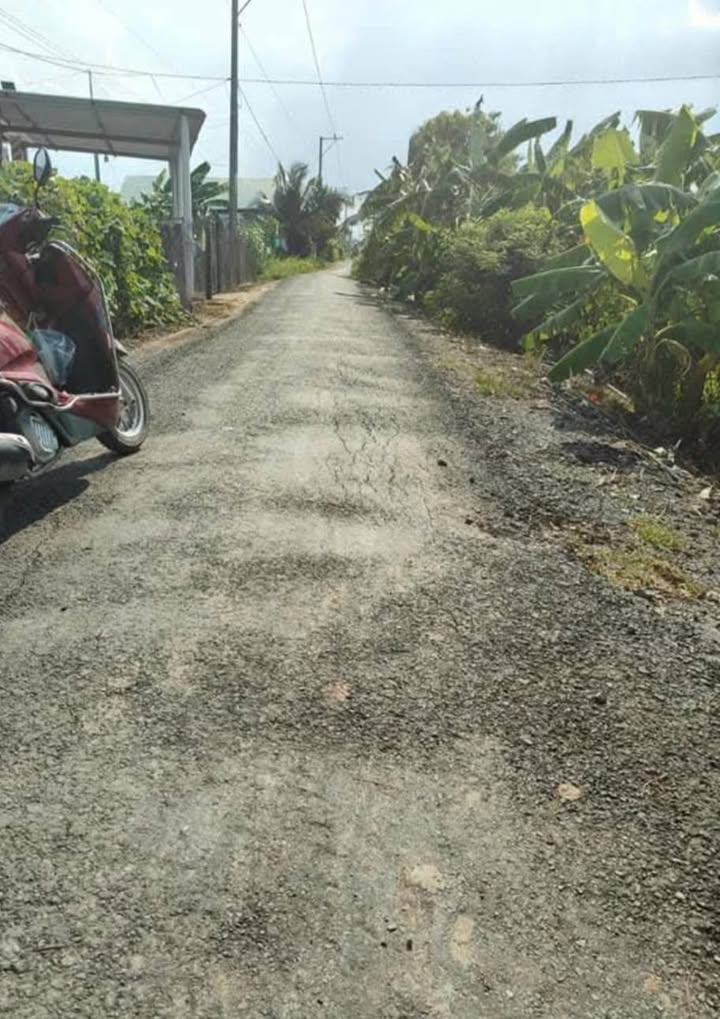 Đất cây lâu năm 504m² tại Bình Phục Nhứt, Tiền Giang chỉ 280 triệu - Đầu tư sinh lời ngay!