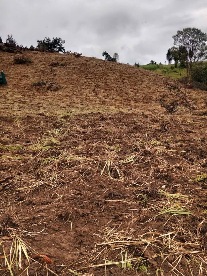 Đất rẫy Ea Sin Krông Búk 22.000m² giá 1.1 tỷ - Cơ hội đầu tư hấp dẫn!