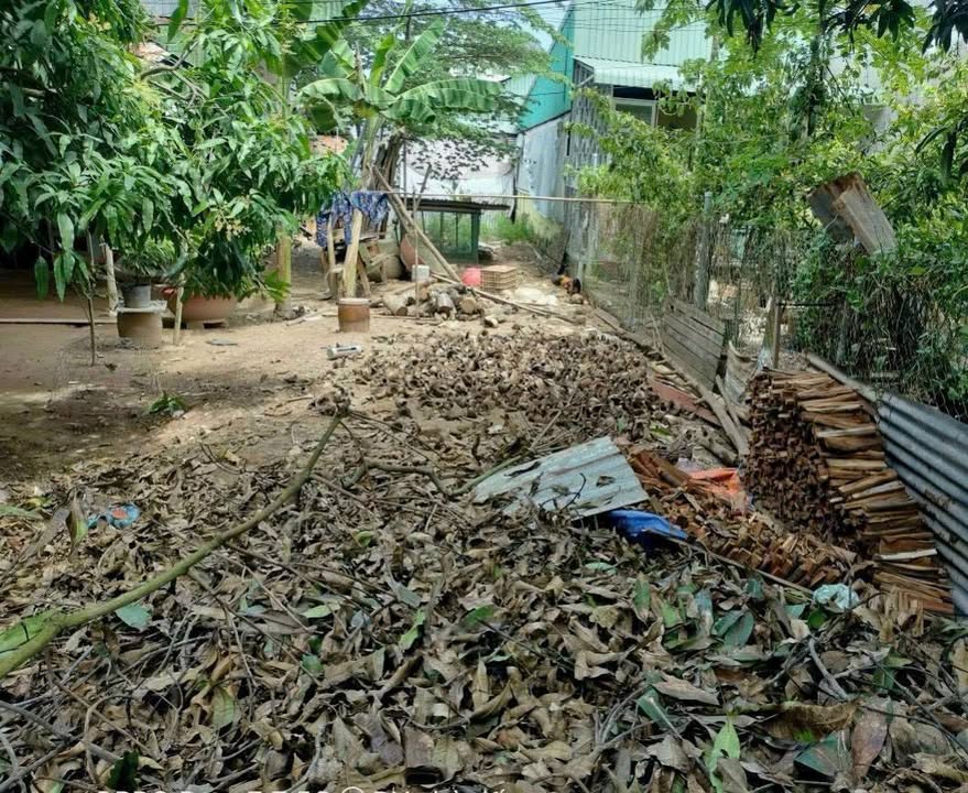 Đất nền mặt tiền đường Bùi Hữu Nghĩa, Cao Lãnh 150m² giá 1.2 tỷ - Cơ hội đầu tư hấp dẫn!