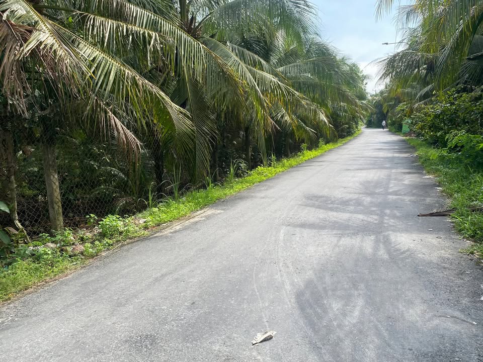 Đất nền đôi Long Hòa A, Đạo Thạnh 115m² giá 1.2 tỷ - Đầu tư sinh lời ngay!