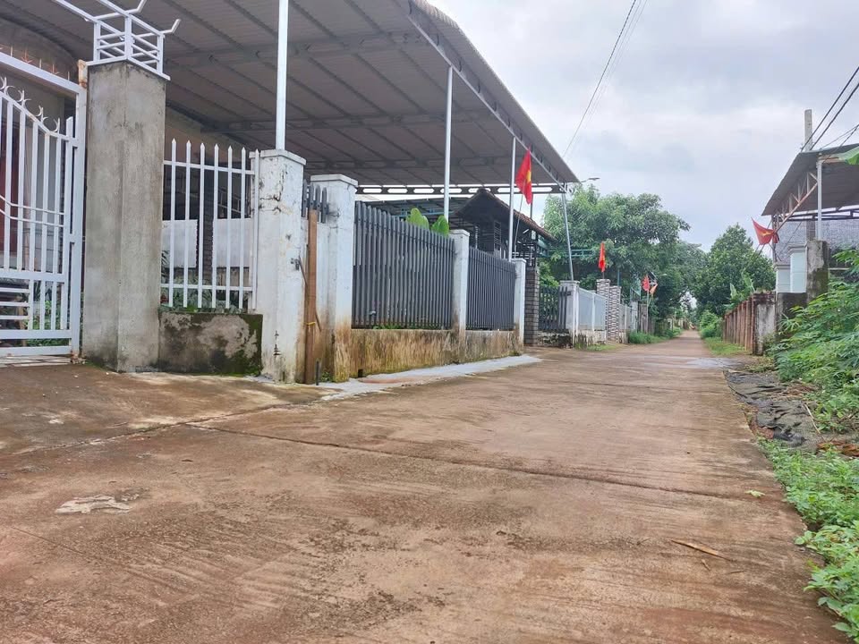 Đất nền thổ cư thôn Cao Thành - phường Ea Kao 255m² chỉ 1.28 tỷ - Vị trí đẹp, tiềm năng phát triển!