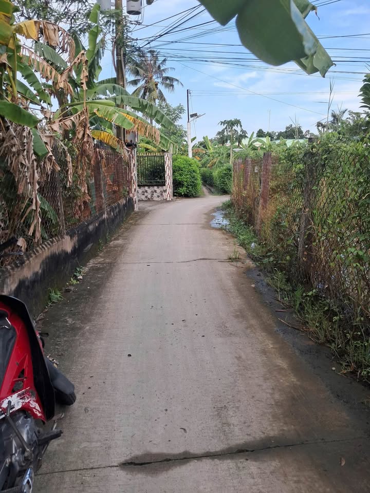 Nhà cũ 322m² Thạnh Hoà Gò Công Đông giá 700 triệu - Cơ hội đầu tư tốt!