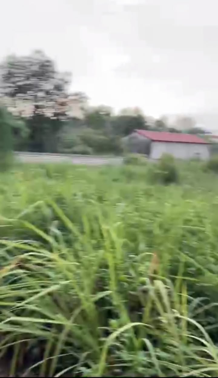 Đất nền 1400m² thôn 8 Tân Xã - Cơ hội đầu tư lý tưởng!