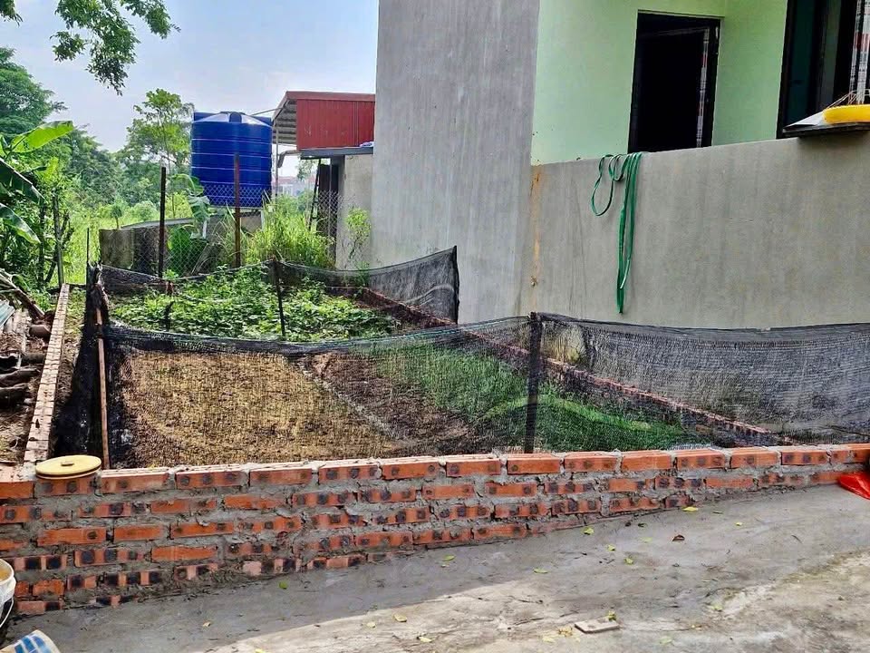 Đất nền Phúc Hòa, Phúc Thọ 50m² giá 1 tỷ - Vị trí đẹp, ô tô đỗ cửa!