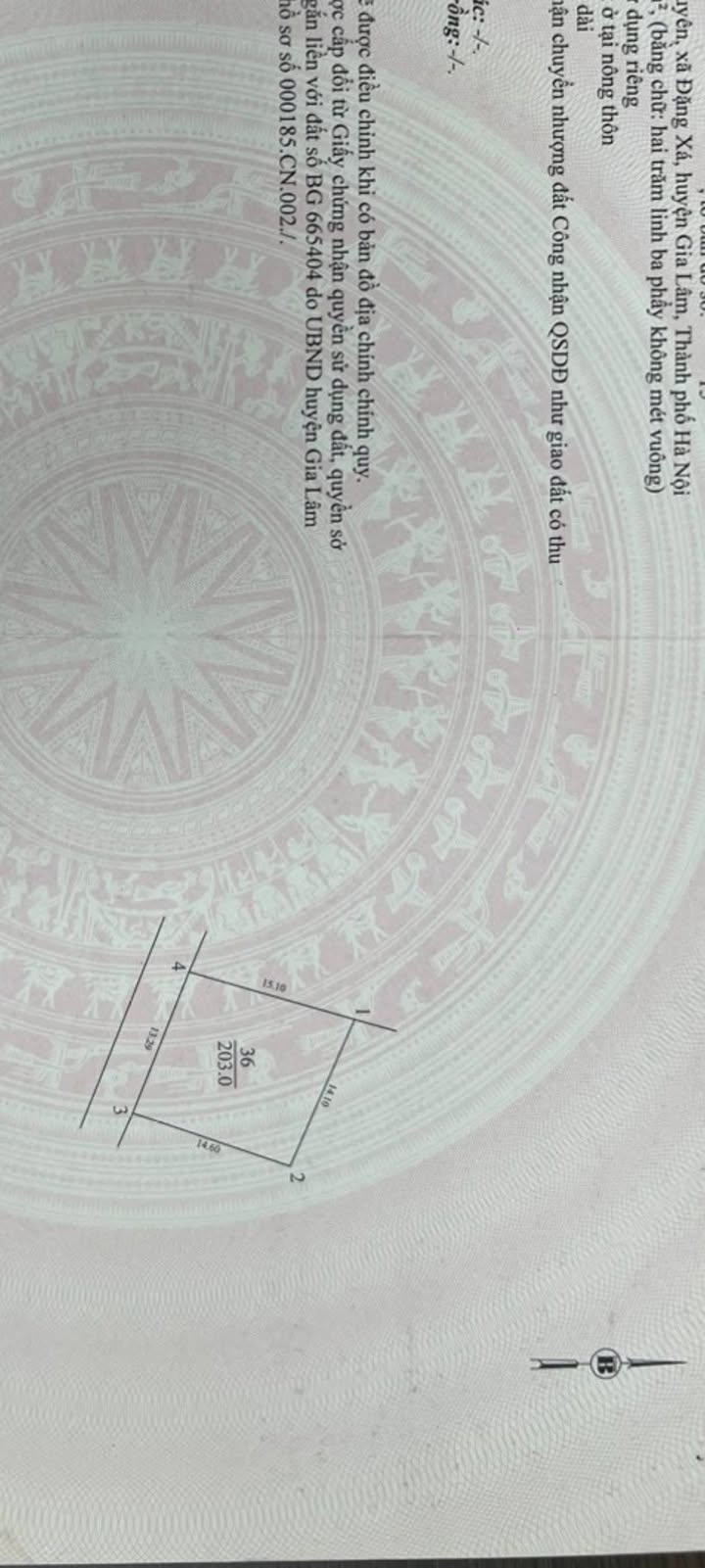 Đất Đặng Xá – Gia Lâm 203m² giá 13.195 tỷ - Vị trí vàng gần hồ