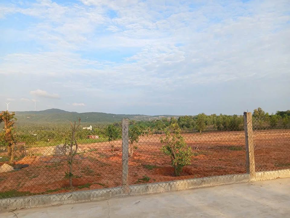 Đất nền siêu đẹp Thiện Nghiệp Mũi Né 1,2ha giá chỉ 12 tỷ - Cơ hội đầu tư hấp dẫn!