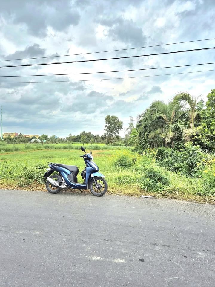 Đất nền mặt tiền nhựa Long Chánh 250m² giá 1.25 tỷ - Cơ hội đầu tư hấp dẫn!