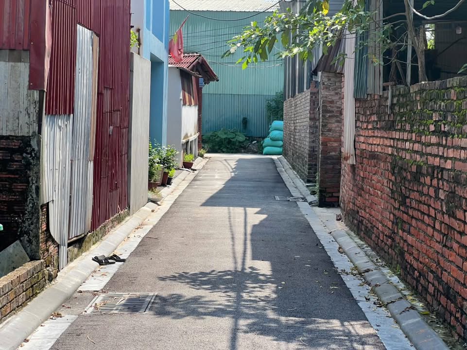 Đất nền Thụy Lâm, Đông Anh 80m² giá 5 tỷ - Ô tô đỗ cửa, ngõ thông thoáng!