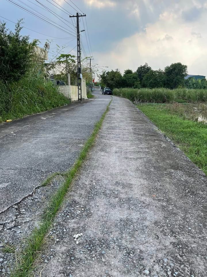 Đất nền đẹp tại xã Mỹ Trung, 240m² giá 3 tỷ - Cơ hội đầu tư hấp dẫn!