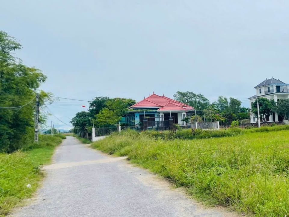 Đất nền Nghi Phong Vinh 96m² giá 1.68 tỷ - Cơ hội đầu tư tuyệt vời!