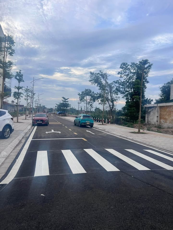 Đất nền 3 lô liền kề đường Tuệ Tĩnh Móng Cái - Giá chỉ từ 1.7 tỷ!