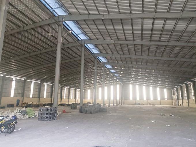 Kho cho thuê 5000m² đường ĐT868, Cai Lậy, Tiền Giang - Vị trí thuận lợi cho kinh doanh