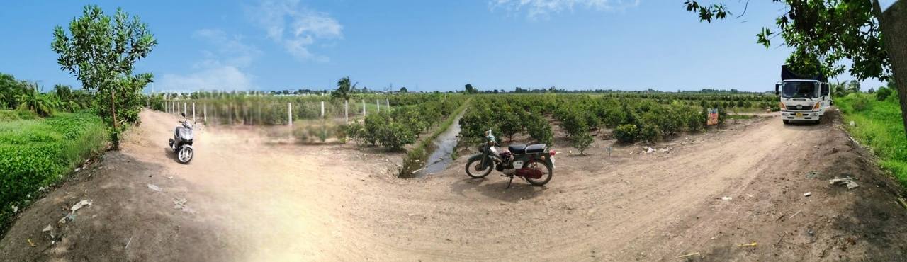 Đất vườn Bình Lợi 20.178m² giá 50.445 tỷ - Đầu tư tiềm năng ngay mặt tiền!