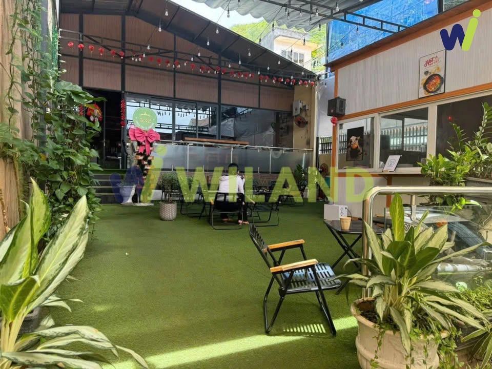 Mặt bằng kinh doanh cho thuê đường Trần Phú Vũng Tàu 86m² - Vị trí đắc địa sầm uất!