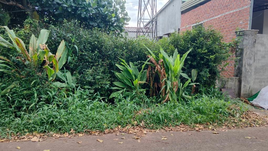 Đất nền Khánh Xuân Buôn Ma Thuột 100m² giá 799 triệu - Sổ đỏ chính chủ, bớt lộc mạnh tay!