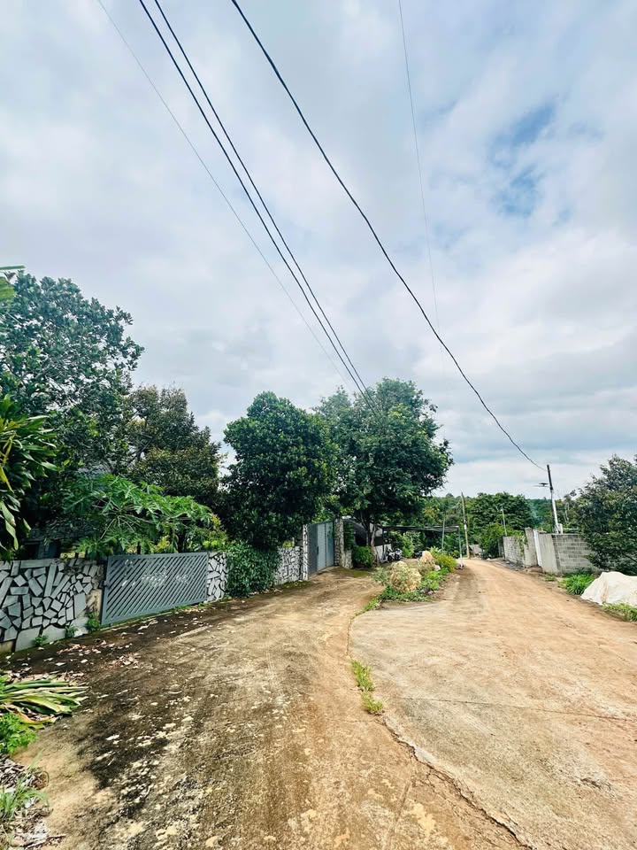 Đất nền Hẻm 327 Y Moan, Buôn Ma Thuột 529m² giá 1.89 tỷ - Cơ hội đầu tư tuyệt vời!