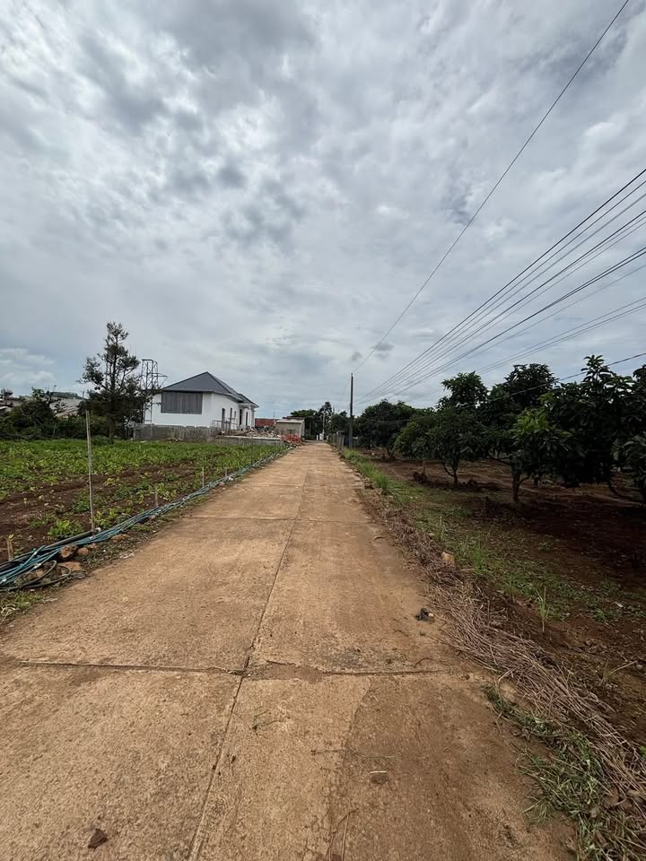 Đất nền Tân Hội, Đức Trọng 170m² giá 850 triệu - Đầu tư sinh lời ngay!