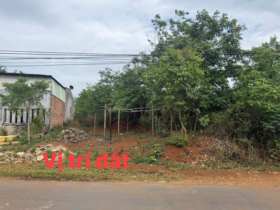 Đất mặt tiền Trương Định, Pleiku 800m² giá 11.2 tỷ - Đầu tư sinh lời cao!