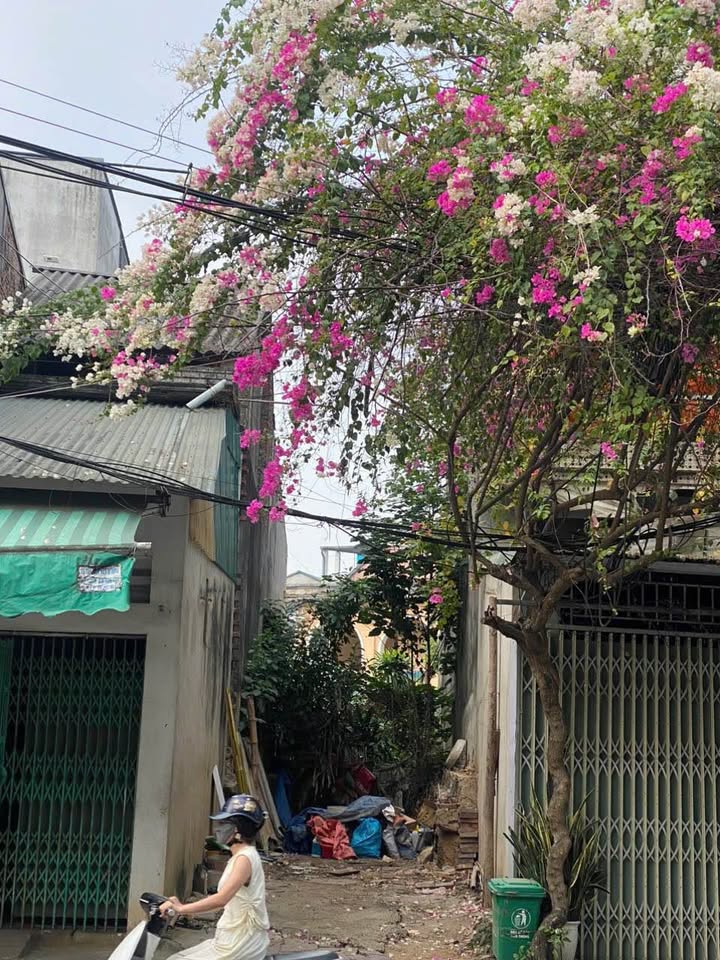 Đất 2 mặt tiền đường Lê Duẩn, Tuyên Quang 79.6m² - Hướng Đông Bắc, giá 2 tỷ!