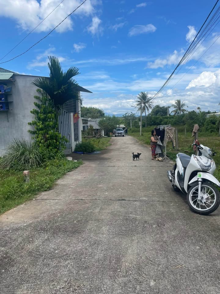 Đất thổ cư phường Đăk Cấm 240m² giá 590 triệu - Hướng Nam, sổ đỏ chính chủ!