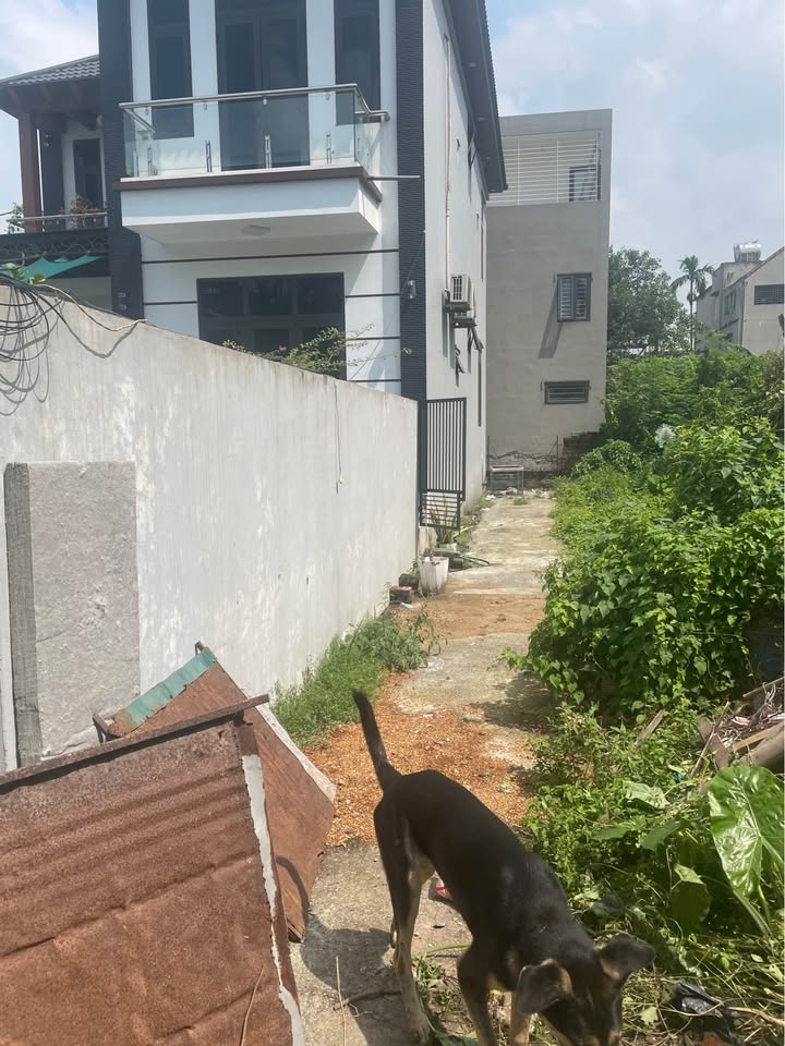 Đất nền Phụng Châu Chương Mỹ 46m² giá 2.65 tỷ - Cơ hội đầu tư hiếm có!