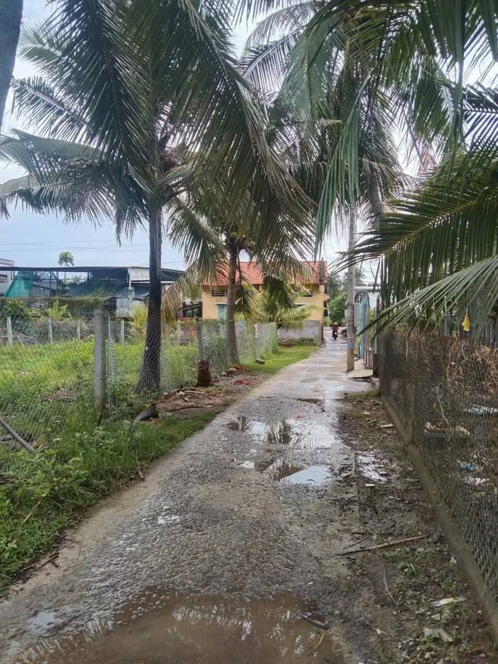 Đất nền mặt tiền 23m đường ô tô tại Chợ Bình Tiên, Giồng Trôm, Bến Tre - Chỉ 1.2 tỷ!