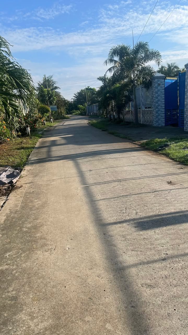 Đất nền An Ngãi Trung, Ba Tri, Bến Tre 300m² - Vị trí đắc địa, giá thỏa thuận!