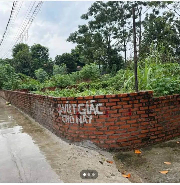 Đất lô góc Vĩnh Phú, Thuỵ Vân 86m² giá chỉ 1 tỷ - Cơ hội đầu tư tuyệt vời!