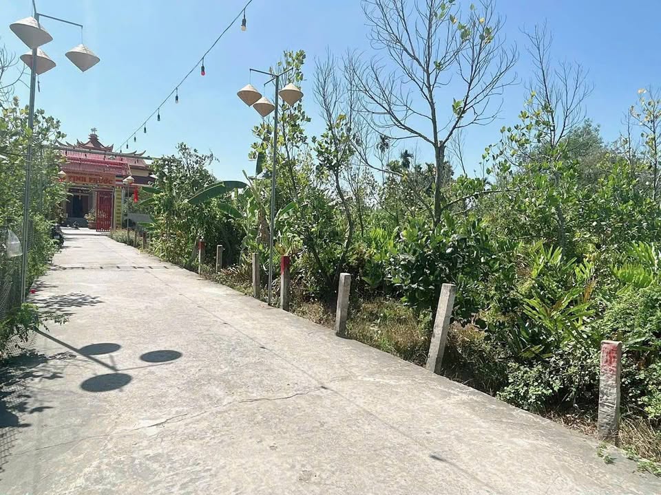 Đất thổ cư 145m² xã Bình Lãng, Tân Trụ - Giá chỉ 490 triệu, thương lượng ngay!