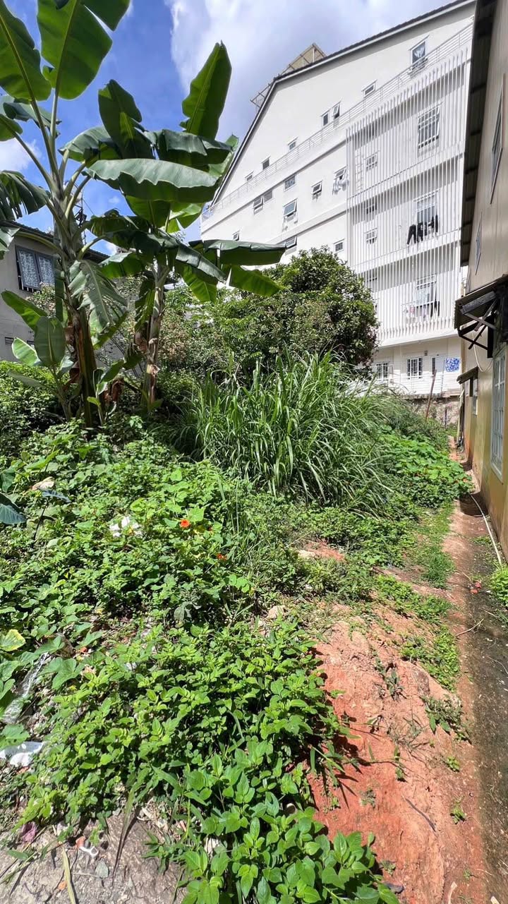 Đất nền Đa Minh, Đà Lạt 94m² giá 5.5 tỷ - Sổ đỏ chính chủ, xây dựng tự do!