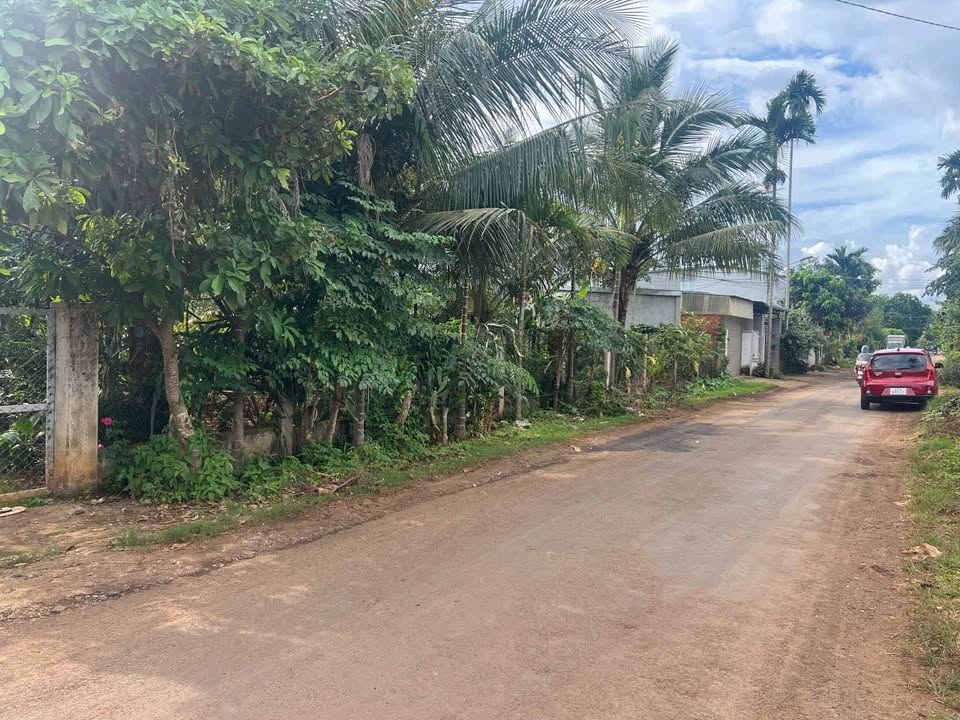 Đất mặt tiền Mậu Thân, Tân An 150m² giá chỉ 1.45 tỷ - Đầu tư sinh lời ngay!