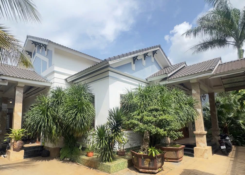 Biệt thự mini sân vườn hẻm 257 Mai Hắc Đế 580m² giá 6.7 tỷ - Thiết kế đẹp, không gian sống lý tưởng!