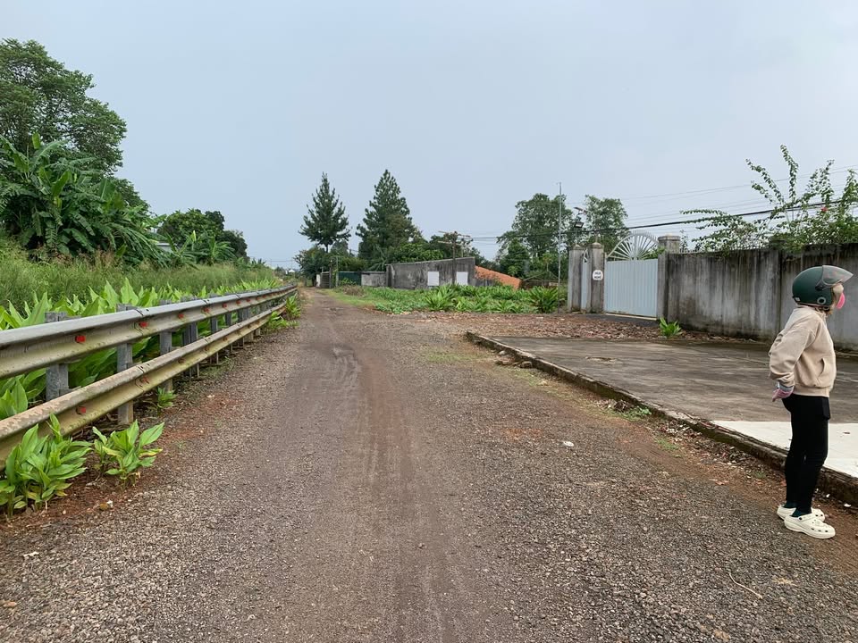 Nhà xưởng cho thuê sản xuất gỗ tại Hưng Thịnh, Trảng Bom, Đồng Nai - Diện tích 3000m² chỉ 6.5 tỷ!