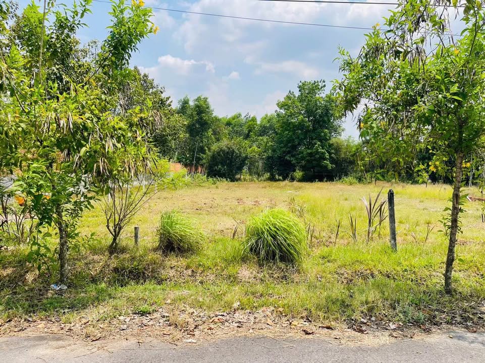 Đất nền thổ cư Củ Chi 227m² giá 2.2 tỷ - Sổ đỏ chính chủ, vị trí đắc địa!